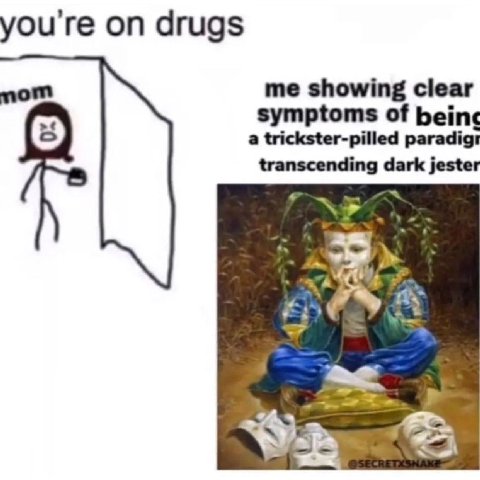 you're drugs me showing clear symptoms of a trickster-pilled paradigt transcending dark jester my 22