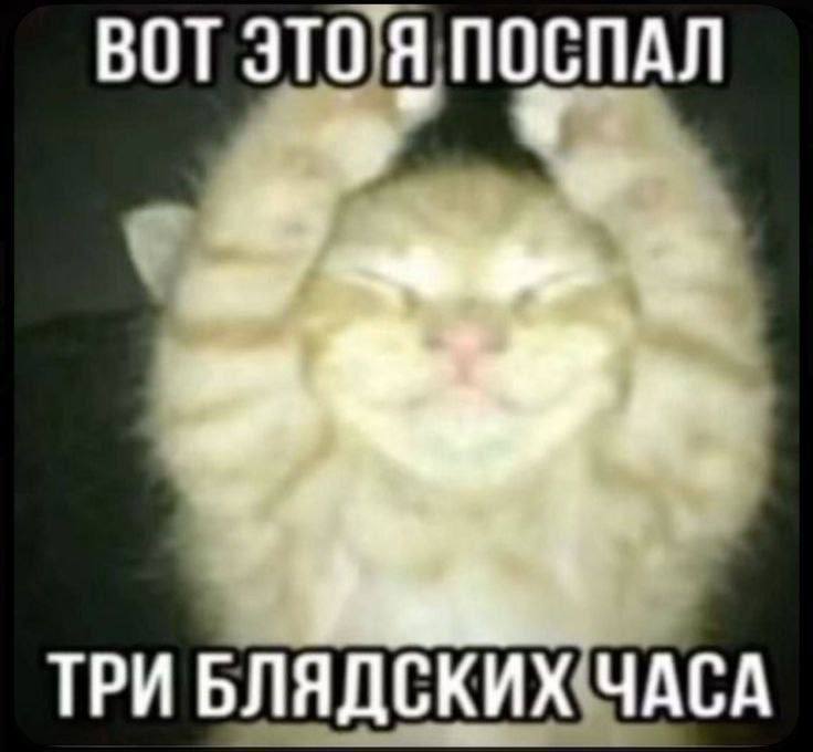ВОТ ЭТО Я ПОСПАЛ yer ТРИ БЛЯДСКИХ ЧАСА