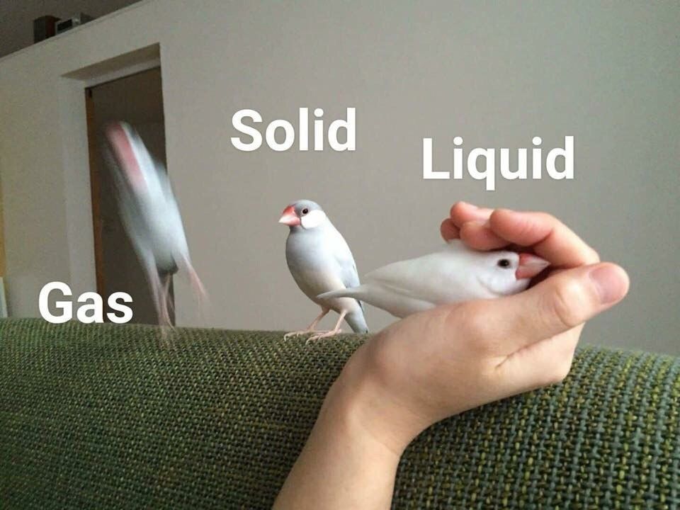 Liquid Solid Gas