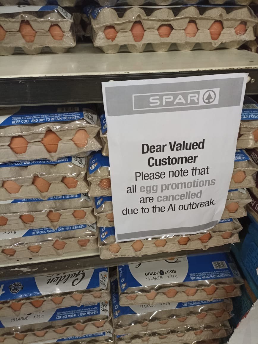 KEEP COOL AND DRY TO RETAIN FRESHNE Dear Valued Customer Please note that all egg pro motions Нед аге сапс reak. due to the Alo 4