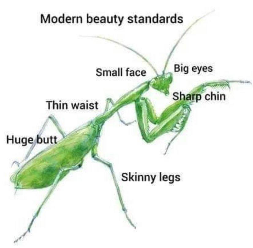 Modern beauty standards Small face Big eyes chin waist А Skinny legs