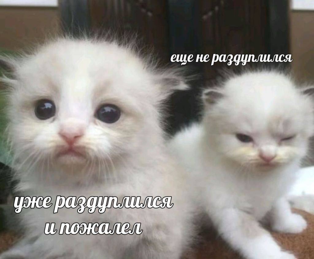 еще не раздуплился, уже