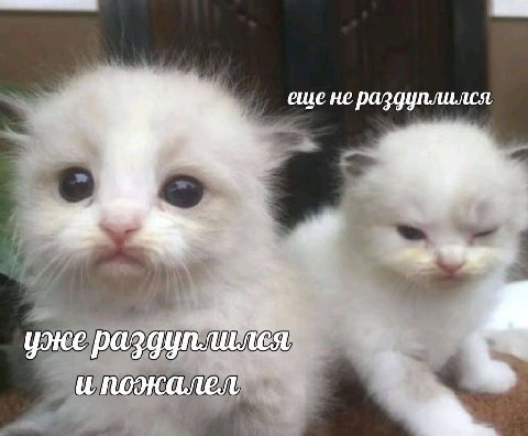 еще не раздуплился, уже