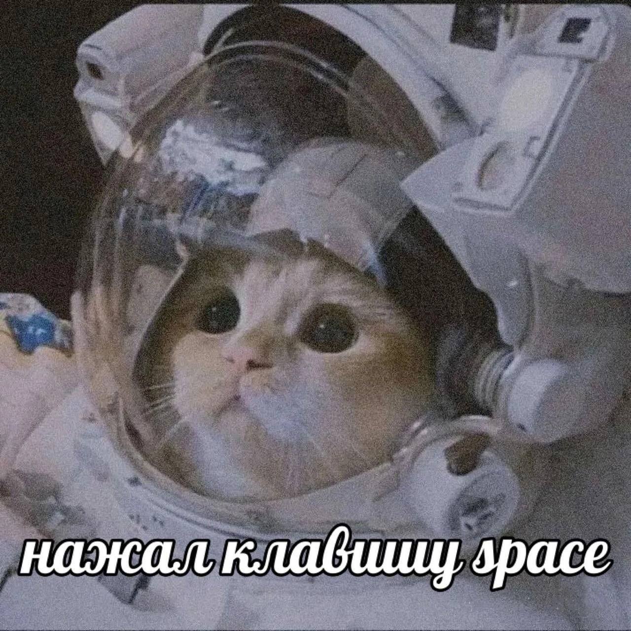 нажал клавииц драсе
