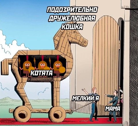 ПОДОЗРИТЕЛЬНО ДРУЖЕЛЮБНАЯ КОШКЯ я