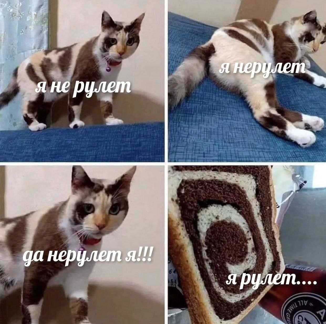 не рулет данерулет я!!! я рулет