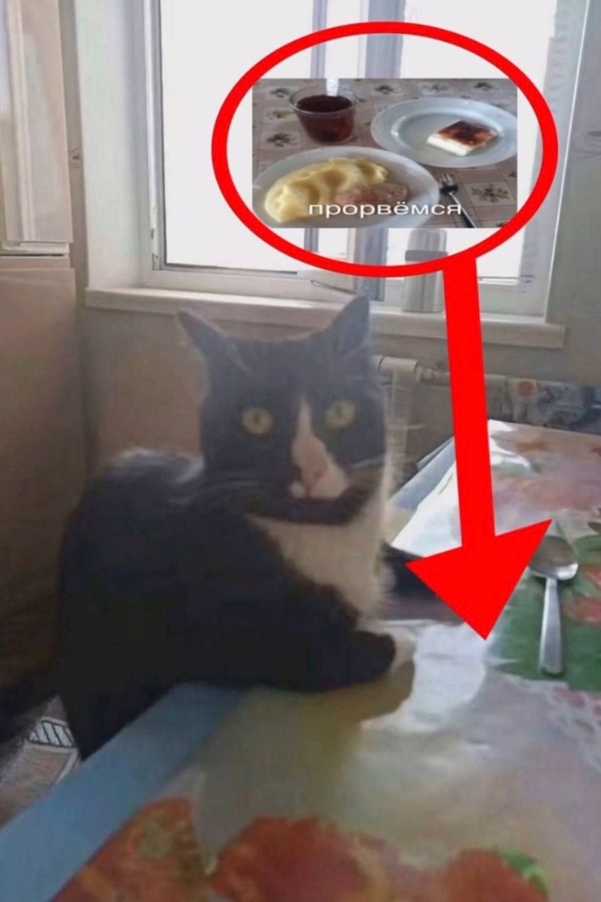 прорвемс