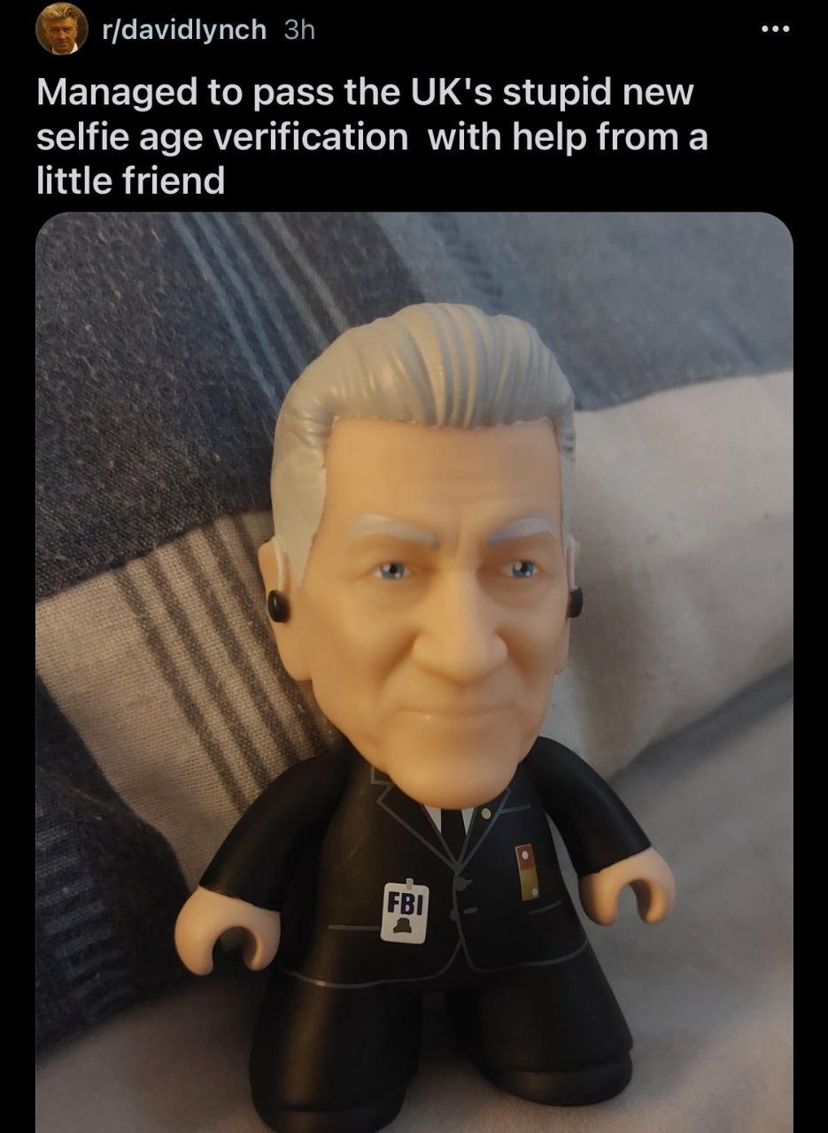 r/davidlynch Managed to pass the UK's stupid new selfie age verification with help froma little friend