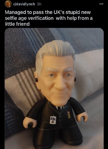 r/davidlynch Managed to pass the UK's stupid new selfie age verification with help froma little friend