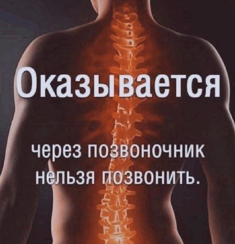 Оказы вается через позвоночник нельзя позвонить.
