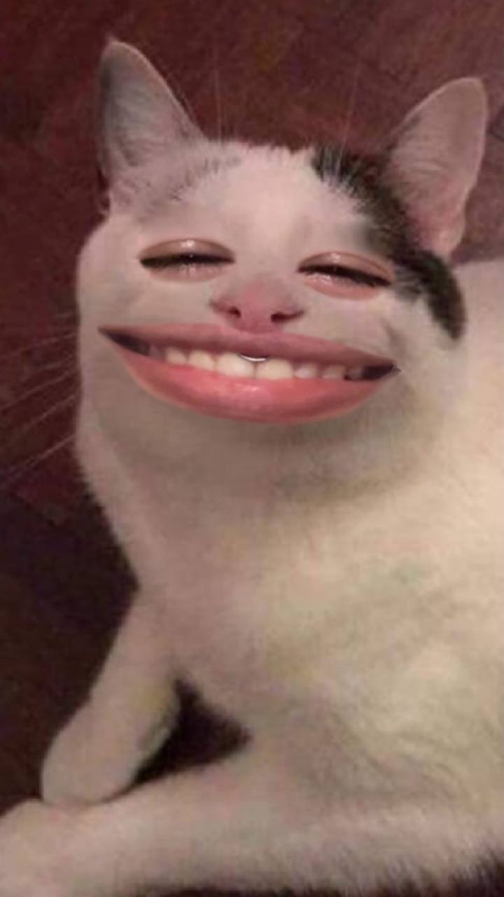 эта хуйня админит эту хуйню