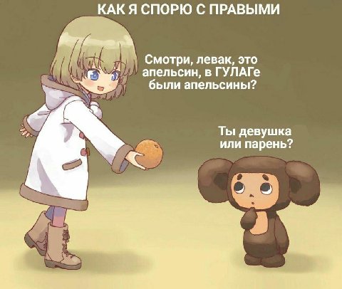 КАК Я СПОРЮ С ПРАВЫМИ Смотри, левак, это апельсин, в ГУЛАГе были апельсины? Ты девушка или парень?