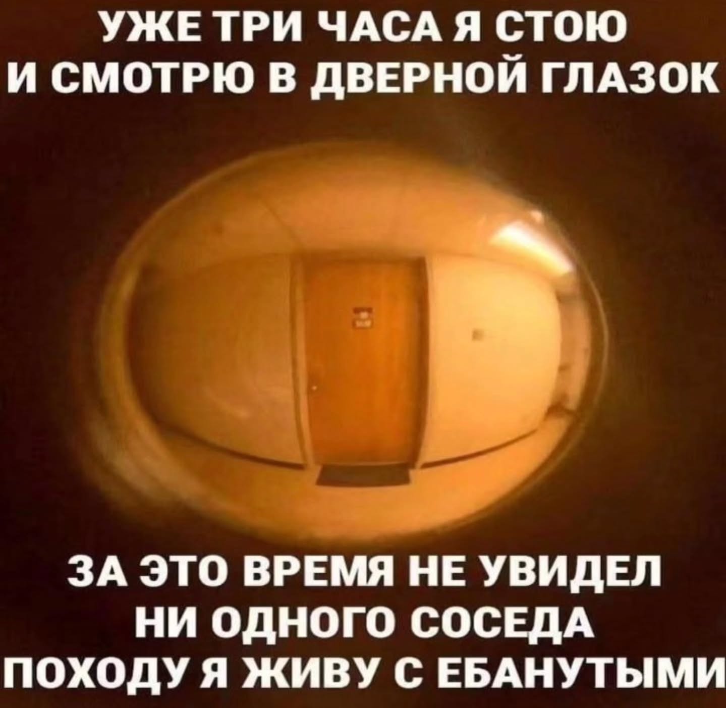 УЖЕТРИ ЧАСА Я СТОЮ И СМОТРЮ В ДВЕРНОЙ ГЛАЗОК ЗА ЭТО ВРЕМЯ НЕ УВИДЕЛ НИ ОДНОГО СОСЕДА ПОХОДУ Я ЖИВУ С ЕБАНУТЫМИ
