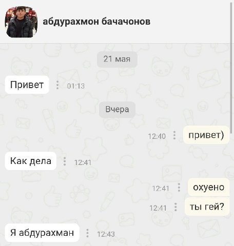 абдурахмон бачачонов 21 мая Привет 01:13 Вчера 12:40 привет) Как дела 12:41 12:41 охуено 12:41 ты гей? Я абдурахман 12:43