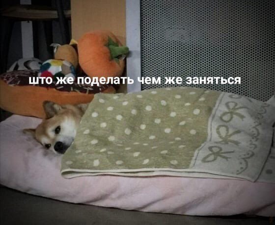 i што же поделать чем же заняться