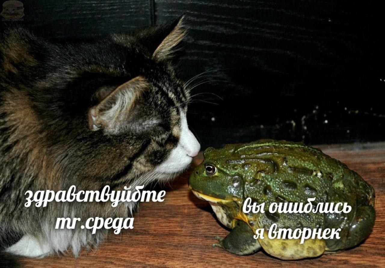 me Get ошиблись mr.cpega я