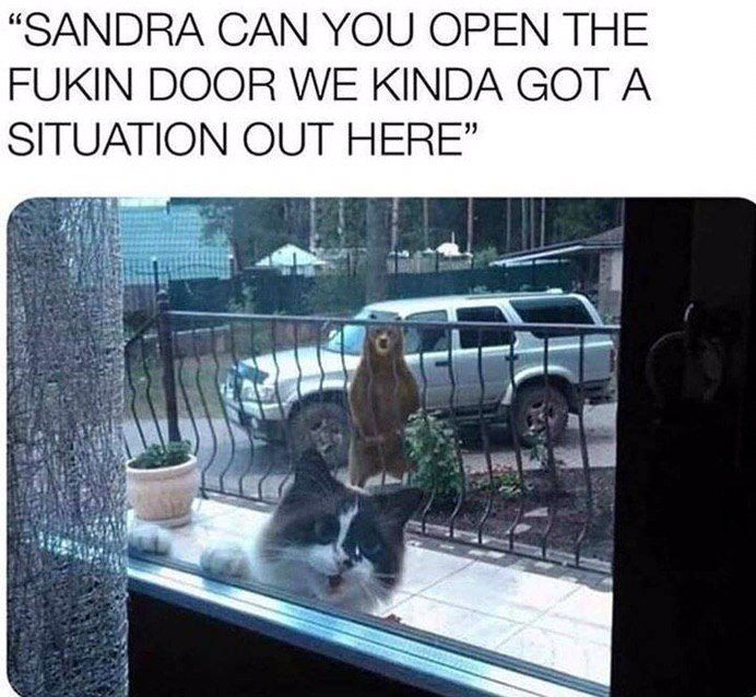 “SANDRA САМ YOU OPEN THE FUKIN DOOR WE KINDA GOT A SITUATION OUT HERE” 4