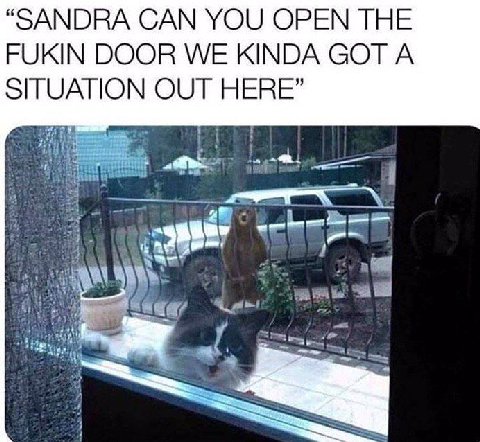 “SANDRA САМ YOU OPEN THE FUKIN DOOR WE KINDA GOT A SITUATION OUT HERE” 4