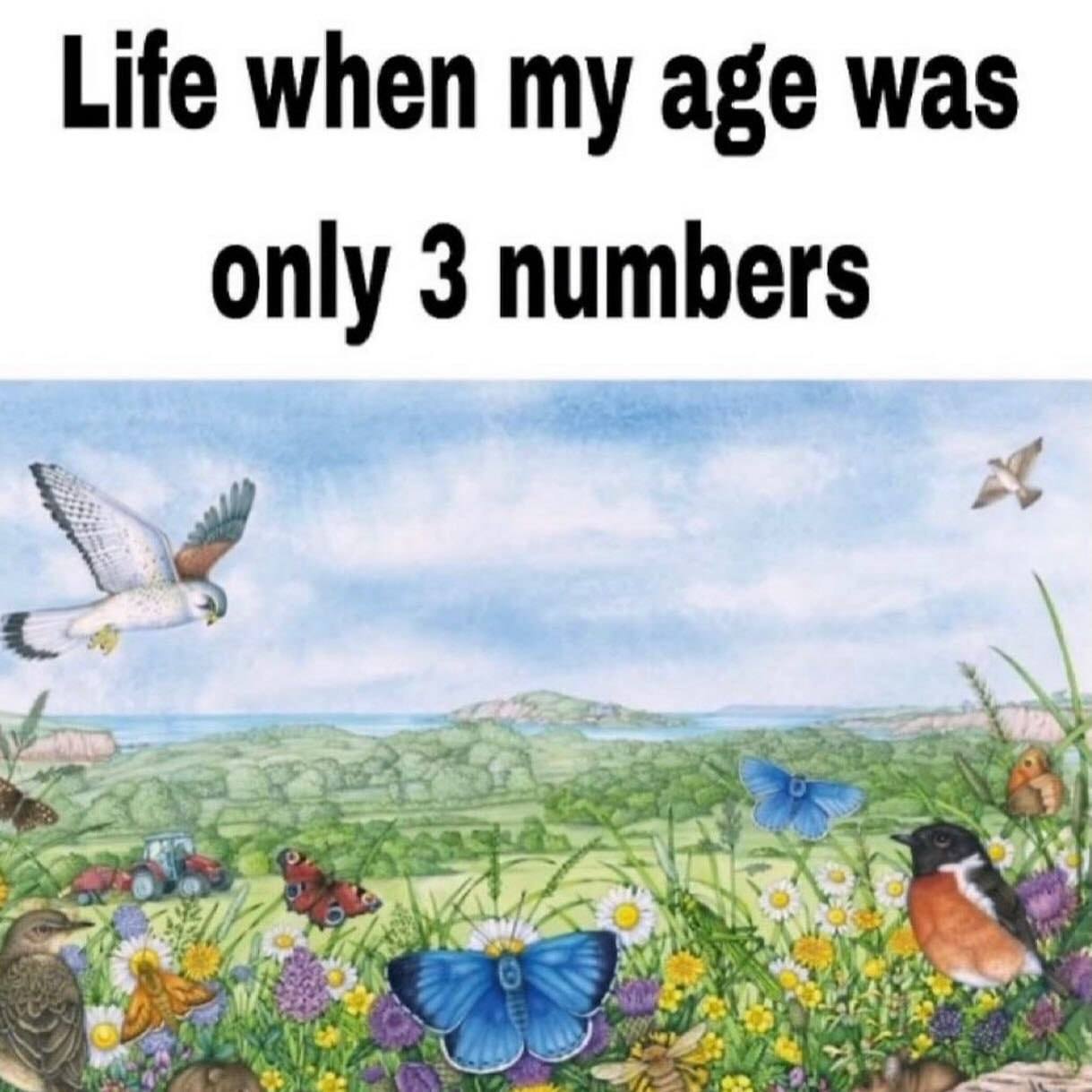 Life when my age was only 3 numbers и ant у 7 4 a