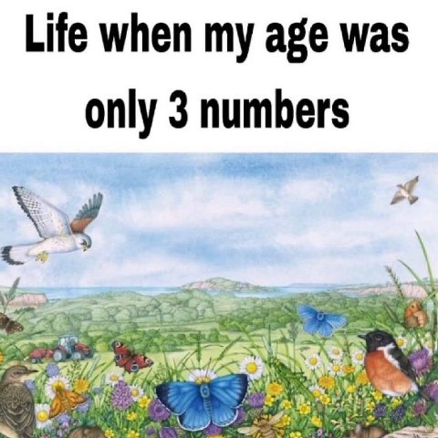 Life when my age was only 3 numbers и ant у 7 4 a