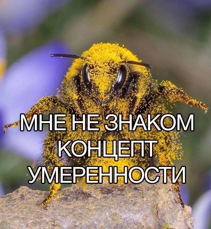 НЕ ЗНАКОМ ЕПТ YMEP 4
