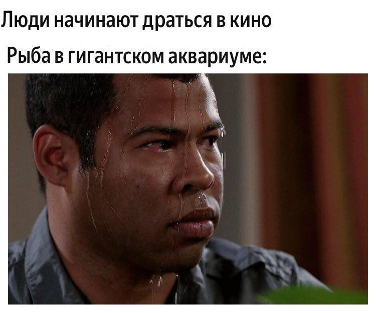 Люди начинают драться в кино Рыба в гигантском аквариуме: