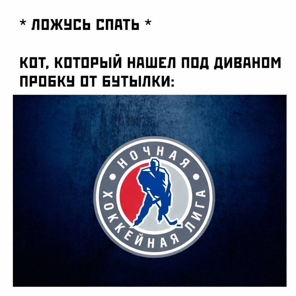 ЛОЖУСЬ СПАТЬ КОТ, КОТОРЫЙ НАШЕЛ ПОД ДИВАНОМ ПРОБКУ ОТ БУТЫЛКИ: