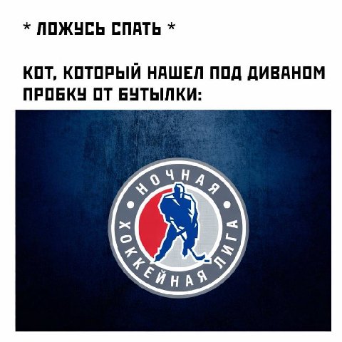 ЛОЖУСЬ СПАТЬ КОТ, КОТОРЫЙ НАШЕЛ ПОД ДИВАНОМ ПРОБКУ ОТ БУТЫЛКИ:
