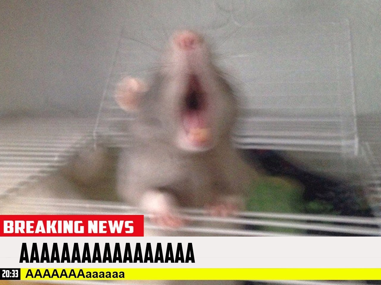 AAAAAAAAAAAAAAAAA АААААААаааааа