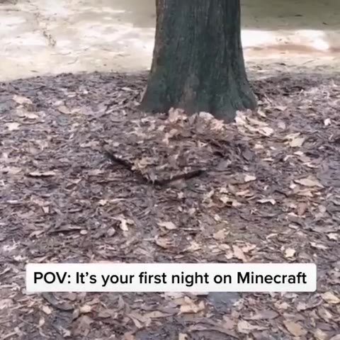 = POV: It’s your first night on Minecraft хз