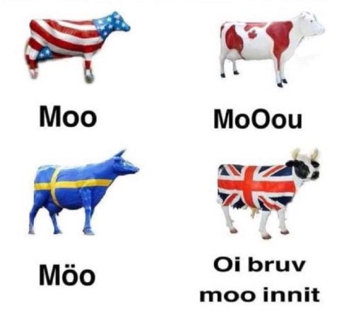 Moo MoOou bruv Moo moo innit