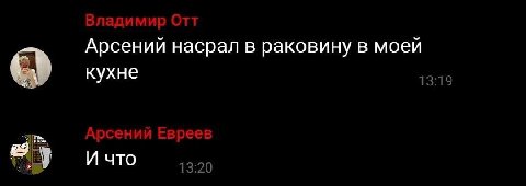 Арсений насрал в раковину в моей кухне И что