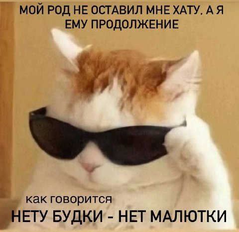 МОИ РОД НЕ ОСТАВИЛ МНЕ ХАТУ, ЕМУ ПРОДОЛЖЕНИЕ как говорится НЕТУ БУДКИ НЕТ МАЛЮТКИ