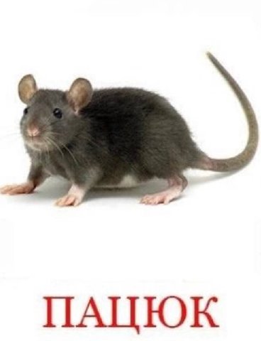 ПАЦЮК