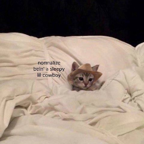 normalize bein’ a sleepy cowboy