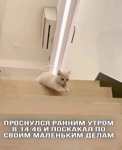 i ПРОСНУЛСЯ РАННИМ УТРОМ В 14:46 И ПОСКАКАЛ ПО СВОИМ МАЛЕНЬКИМ ДЕЛАМ