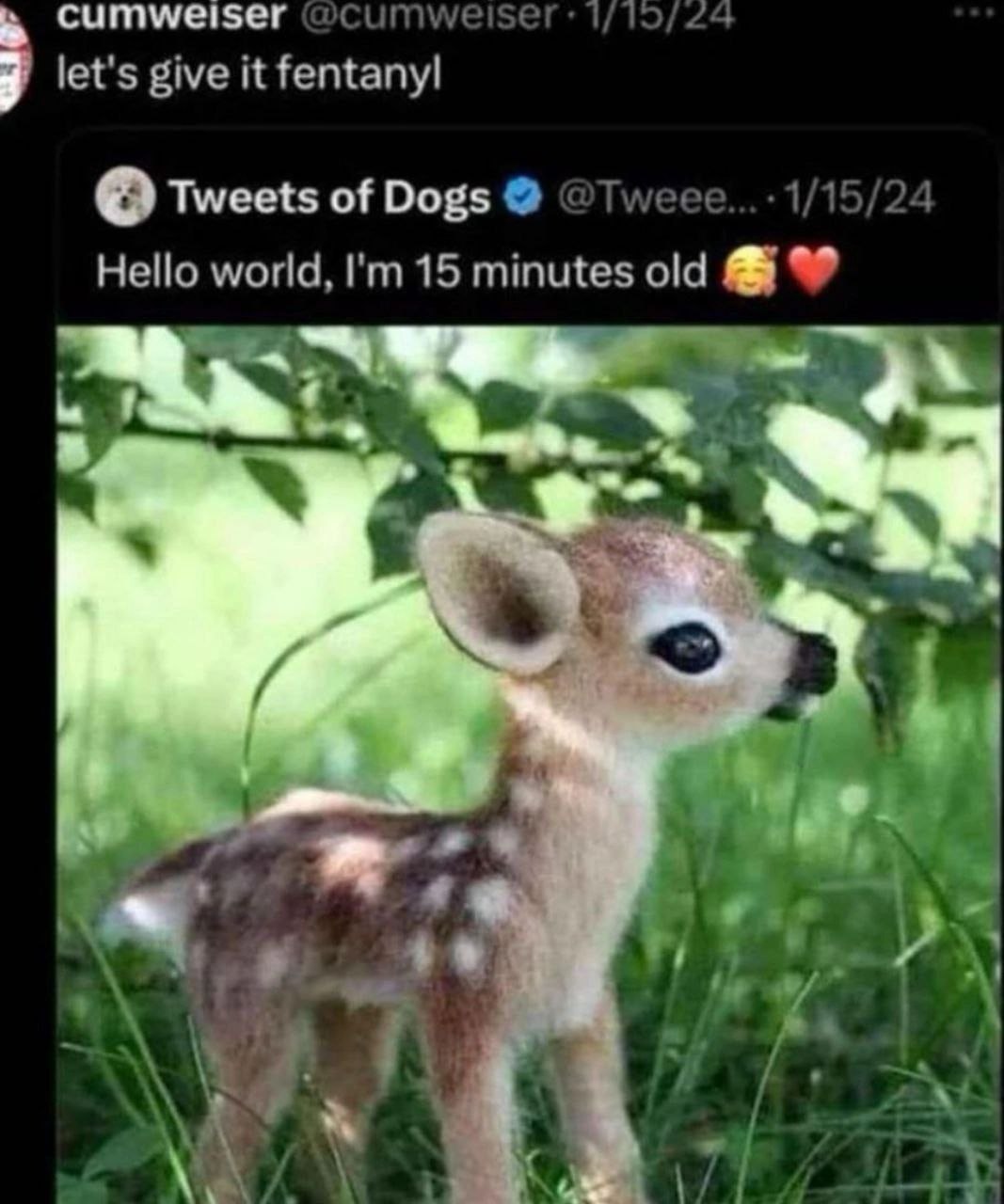 cumweiser @cumweiser: 1/15/24 let's give it fentanyl Tweets of Dogs @Tweee... Hello world, 15 minutes old lum 1 “4