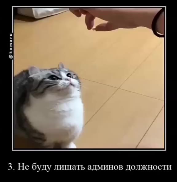 топ 5 причин сделать меня админом 1. не буду ругаться 3. Не буду лишать админов должности 4. He буду спамить 5. Буду действовать по правилам 2. Буду наказывать за нарушения