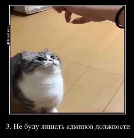 топ 5 причин сделать меня админом 1. не буду ругаться 3. Не буду лишать админов должности 4. He буду спамить 5. Буду действовать по правилам 2. Буду наказывать за нарушения