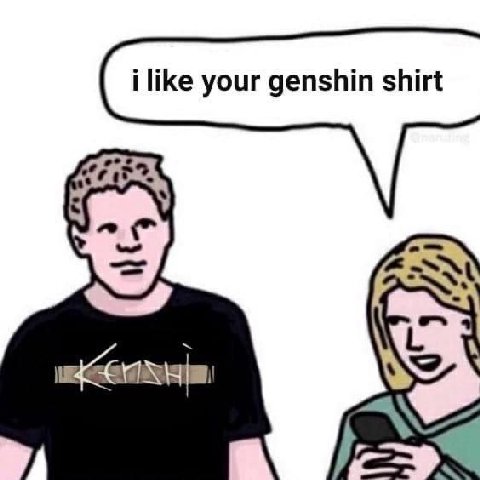 i like your genshin shirt