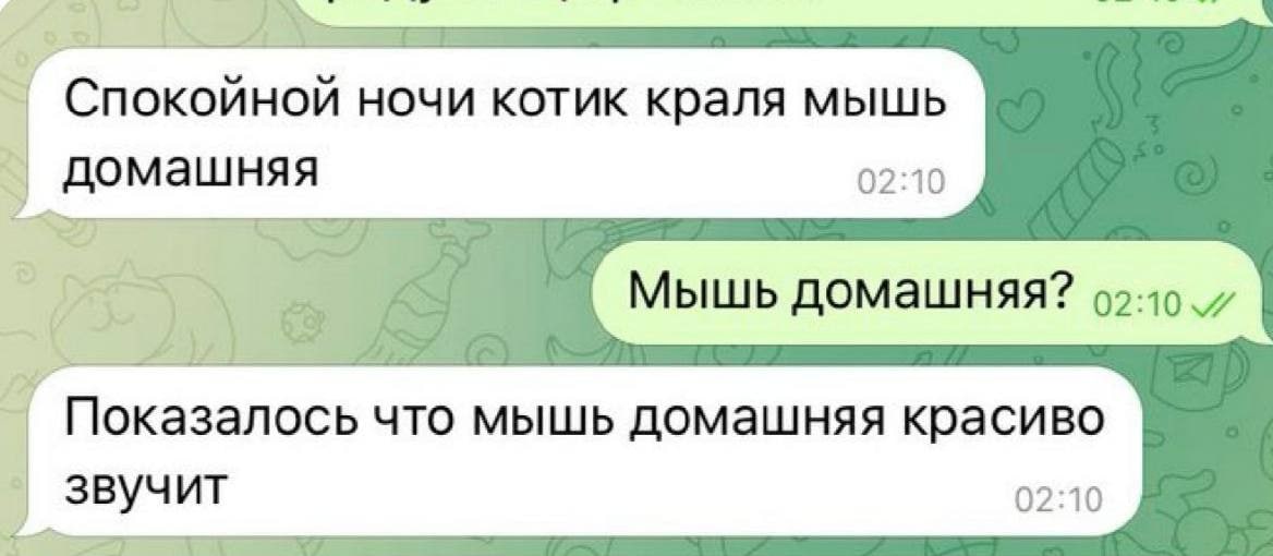 Спокойной ночи котик краля мышь домашняя 02:10 Мышь домашняя? Показалось что мышь домашняя красиво звучит 02:10