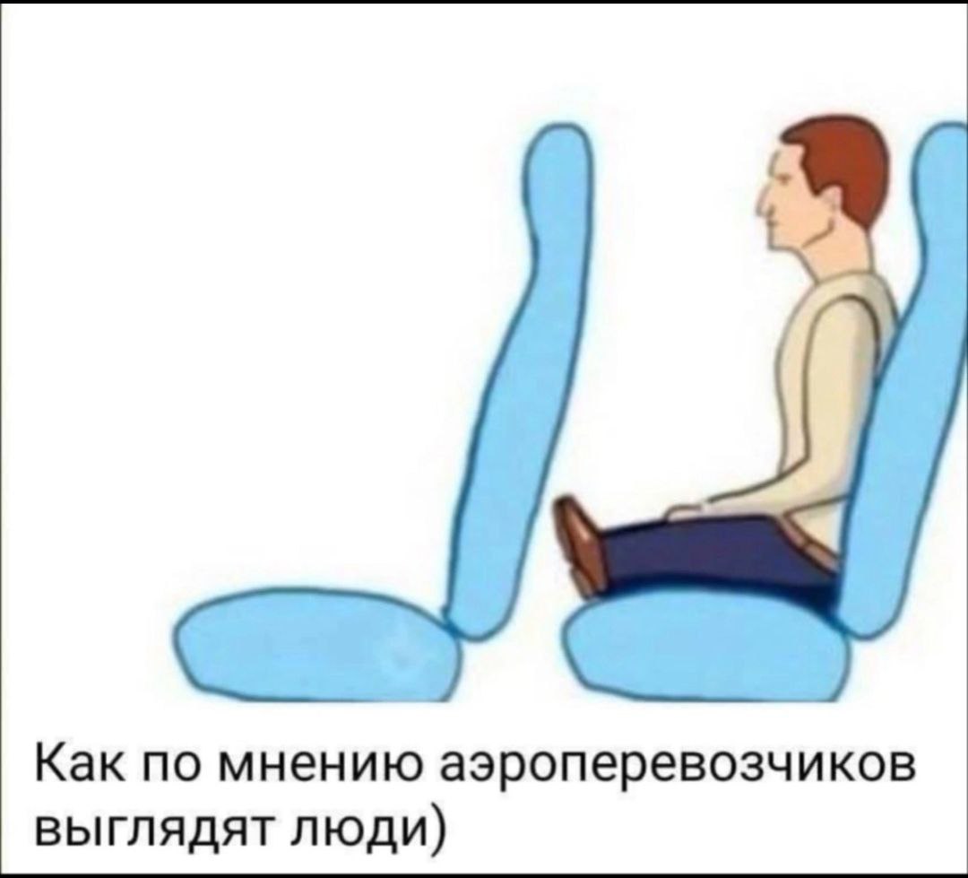 Как по мнению аэроперевозчиков выглядят люди)