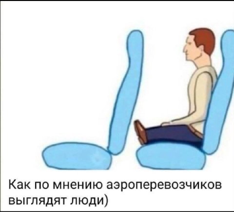 Как по мнению аэроперевозчиков выглядят люди)