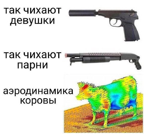 так чихают девушки так чихают парни 4 a аэродинамика коровы
