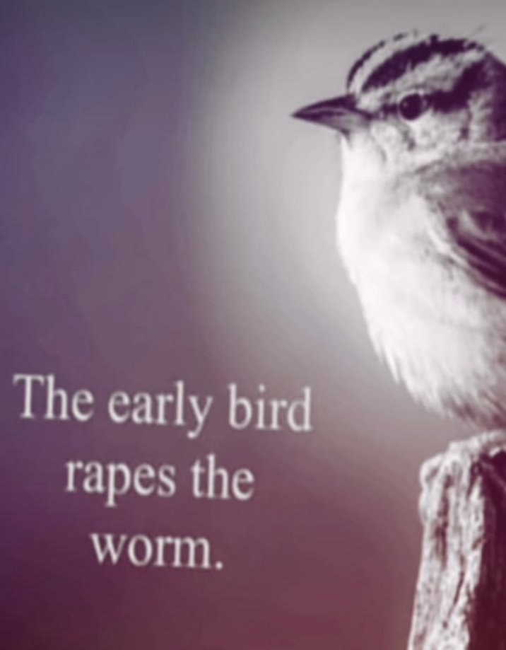 The early rapes the worm.