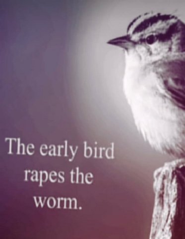 The early rapes the worm.