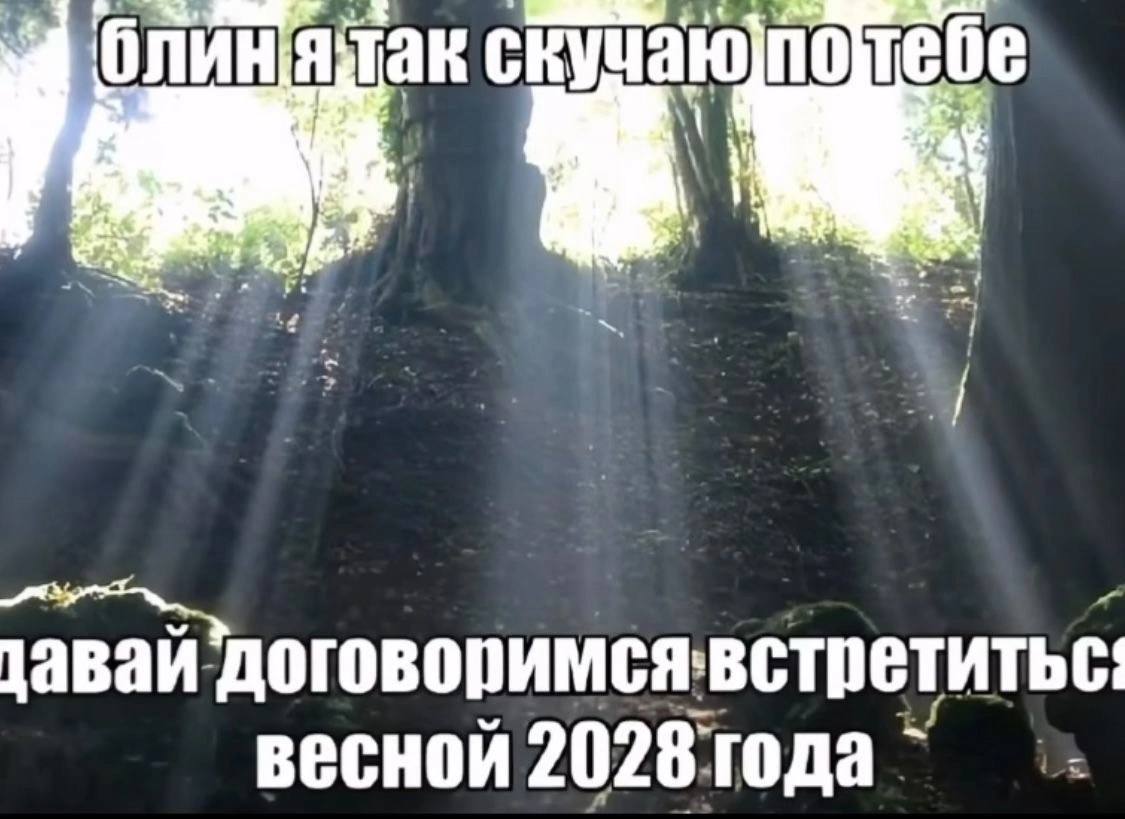 олиняак договоримсявстретитьс: весной 2028: года