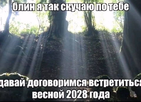 олиняак договоримсявстретитьс: весной 2028: года