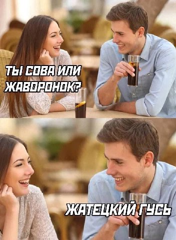 ТЫ СОВА ИЛИ ГУСЬ