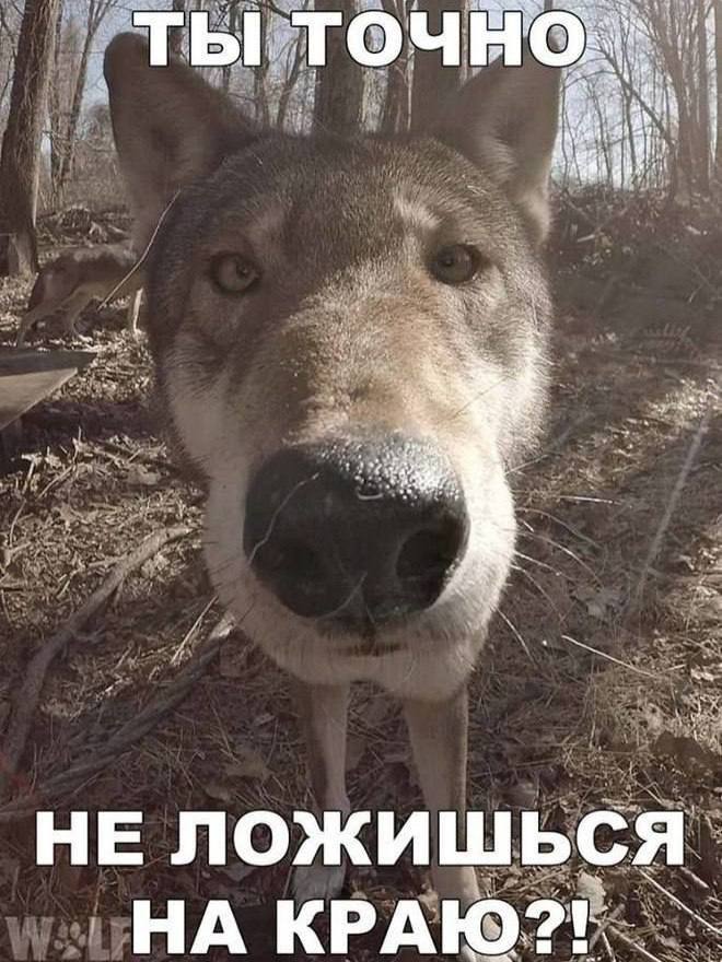 ТЫ 2 HE НА КРАЮ?